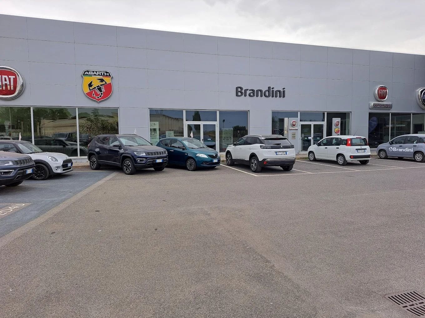 Brandini S.p.A. - Grosseto
