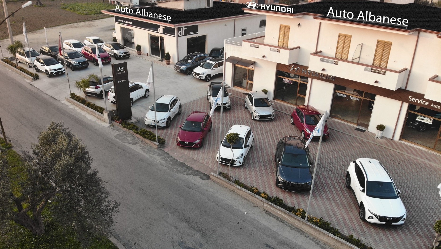 Auto Albanese