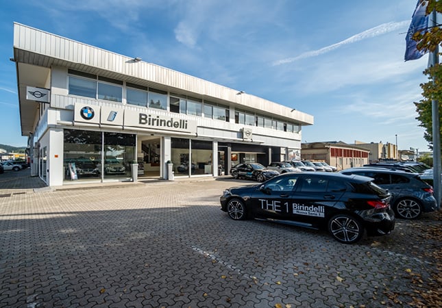 Birindelli Auto S.r.l. - Monsummano