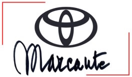 Marcante Automobili S.r.l. - Schio