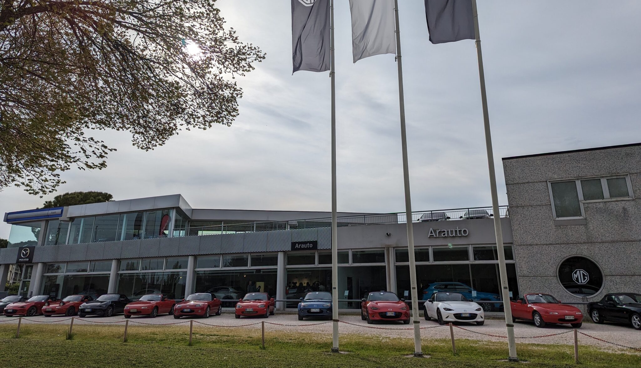 Arauto S.r.l. - Pesaro-Urbino