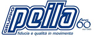 Gruppo Peila - Centro Usato
