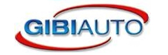 GI.BI. Auto S.p.A. - Renault