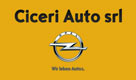 Ciceri Auto S.r.l.